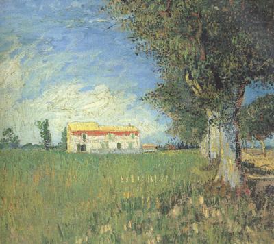 Vincent Van Gogh Farmhous in a Wheat Field (nn04) china oil painting image